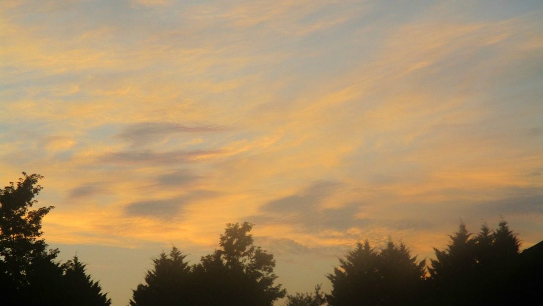 Song of Songs 7
