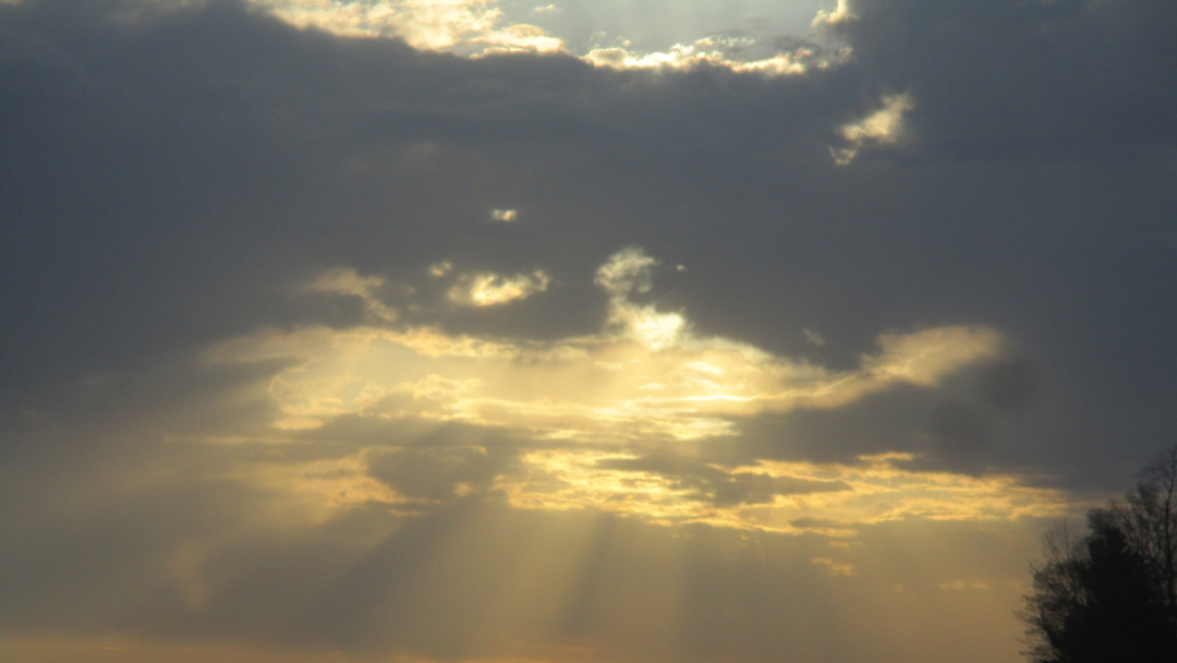 「Interesting」に関連した英語例文の一覧と使い方 - Weblio英語例文検索 visual data 6