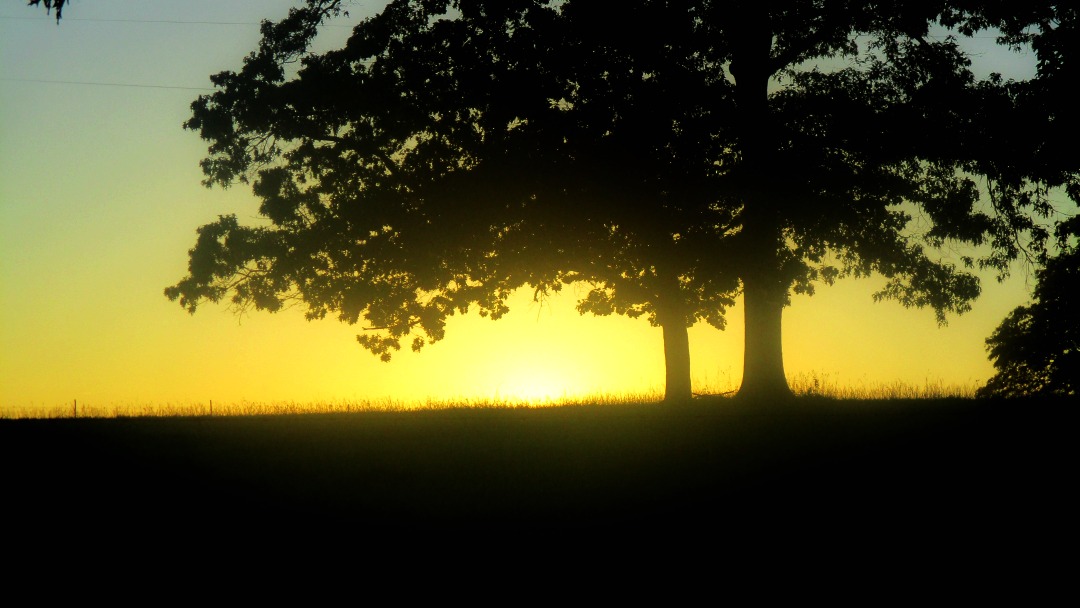 psalm-44-devotionals-short-stories